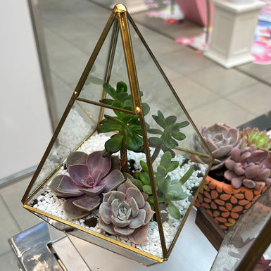 Pyramid Geometric Terrarium