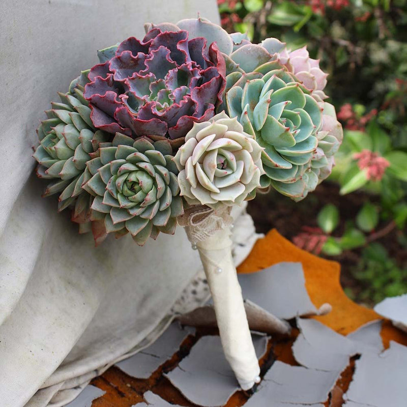 succulent flower arrangements wedding Succulent Bouquets