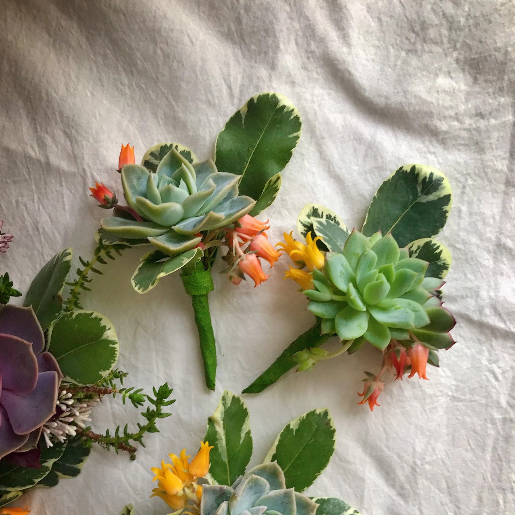 diy succulent boutonniere Succulent Boutonnieres – nVi Garden
