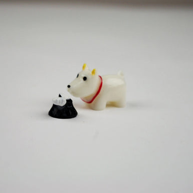 Dog & Bone