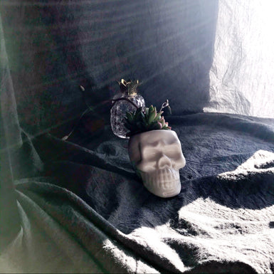 Skull Pot