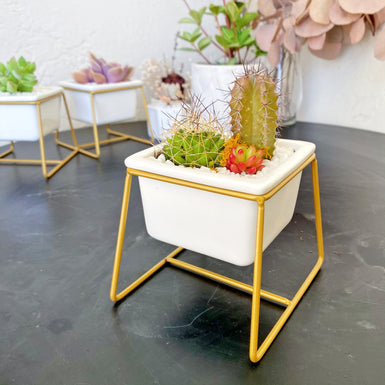 Square Prism Planter