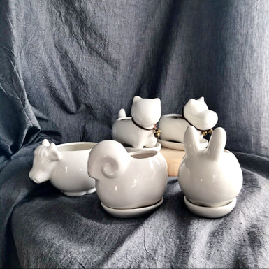 Ceramic Animal Pots