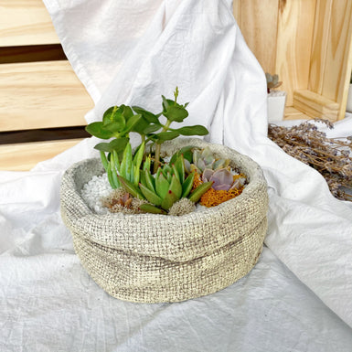 Rug Bag Terrarium