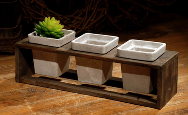 Trio Cement set