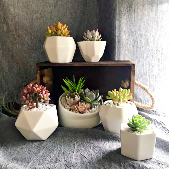 Pottery
