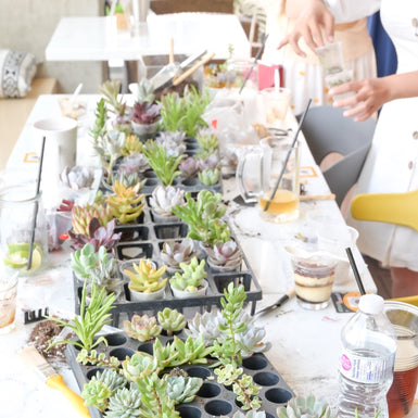 Apr 25th Evergreen Brick Works