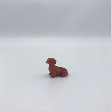 Dachshund