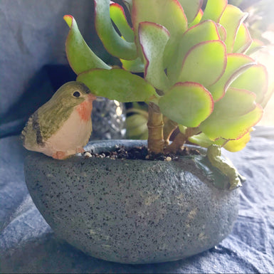 Zen S Pot