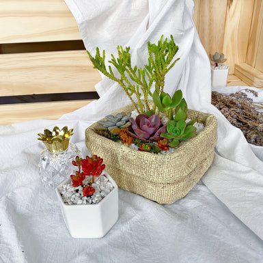 Rug Bag Terrarium
