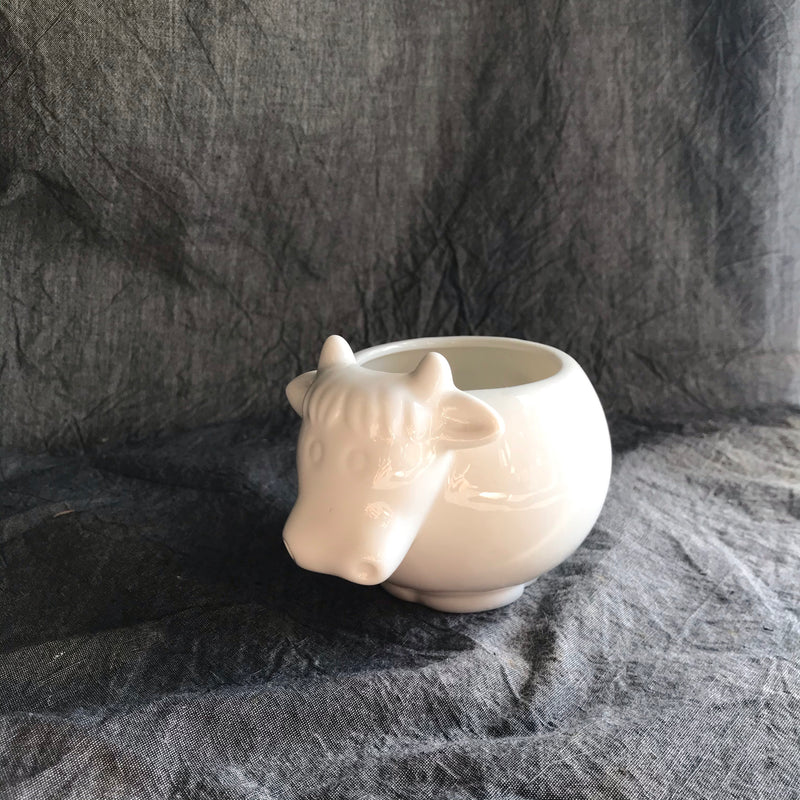 Ceramic Animal Pots