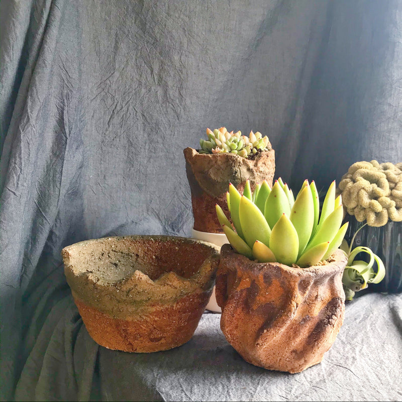 Rustic Clay Pots