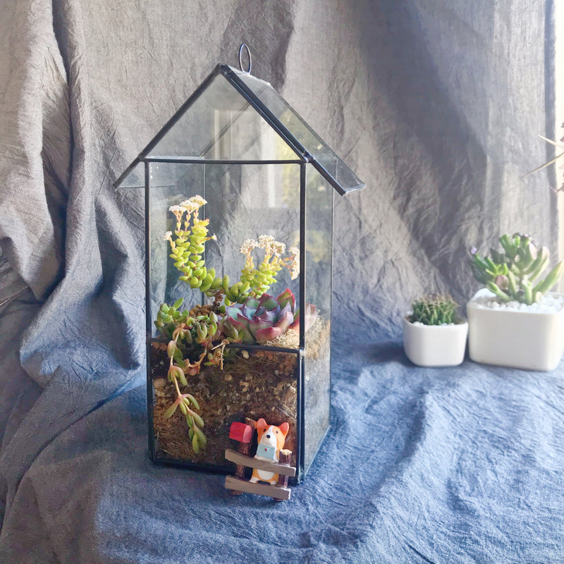 House Terrarium