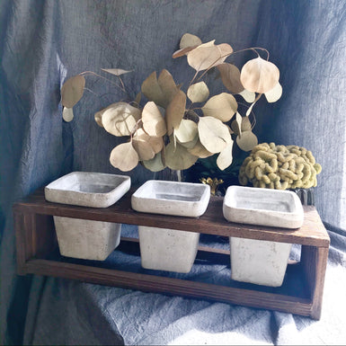 Trio Cement set