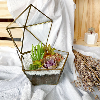 Pentagon Terrarium