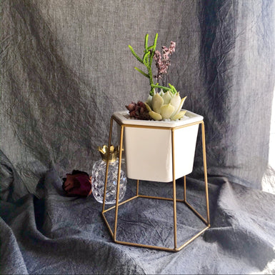 Hexa Prism Planter