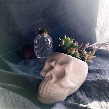 Skull Pot