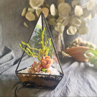 Pyramid Geometric Terrarium