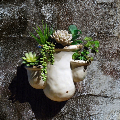 Wicker Bay Wall Planter/ Mount