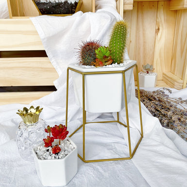 Hexa Prism Planter