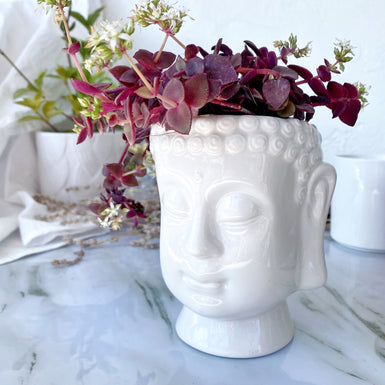 Buddha Planter