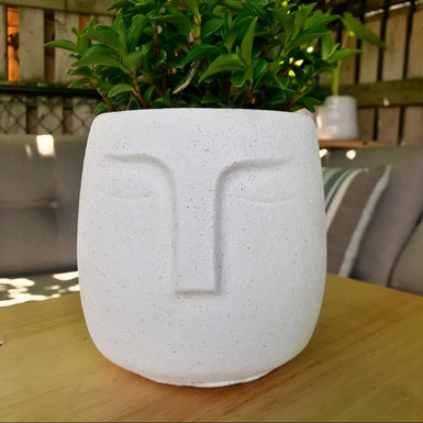 Face Planter