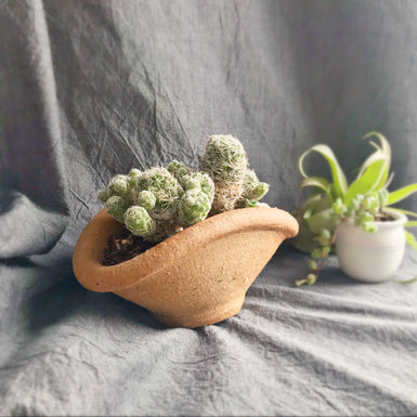 Heavy Clay