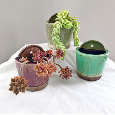Wall Planter